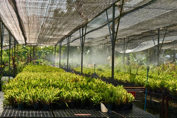 Greenhouse Watering Repair