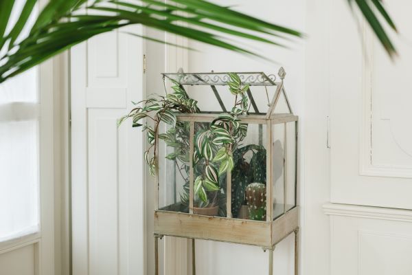 Indoor Greenhouse Installation