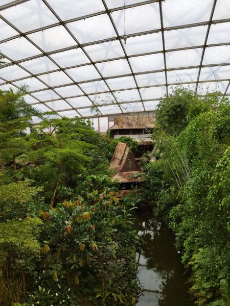 Indoor Greenhouse Construction